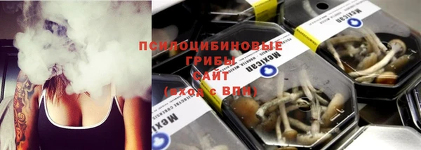 дмт Алексин