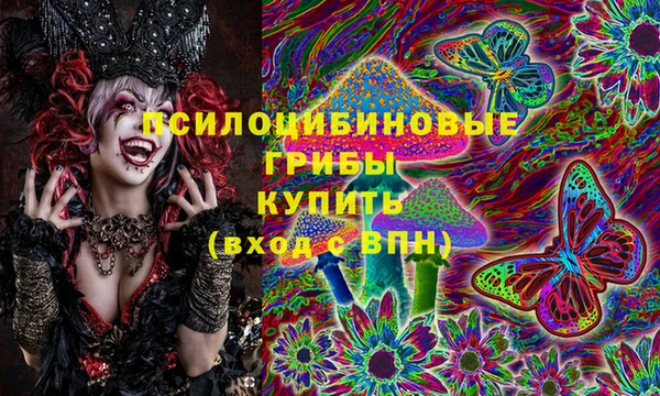 дмт Алексин