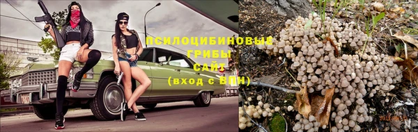 скорость Алексеевка