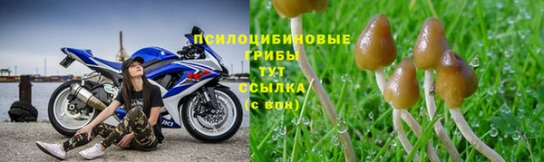 скорость Алексеевка